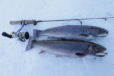 Hot new ice-fishing tips for B.C.'s rainbow, brook and lake trout