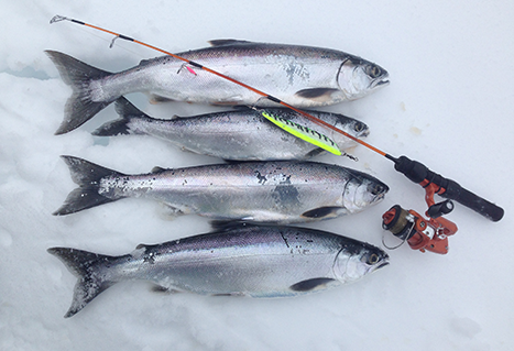 Brian Chan's Ice-Fishing Tips for Trout, Kokanee and Char - Freshwater  Fisheries Society of BC