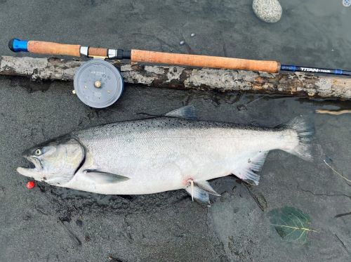 Salmon Fishing in the Lower Mainland Rivers: Tips and Techniques