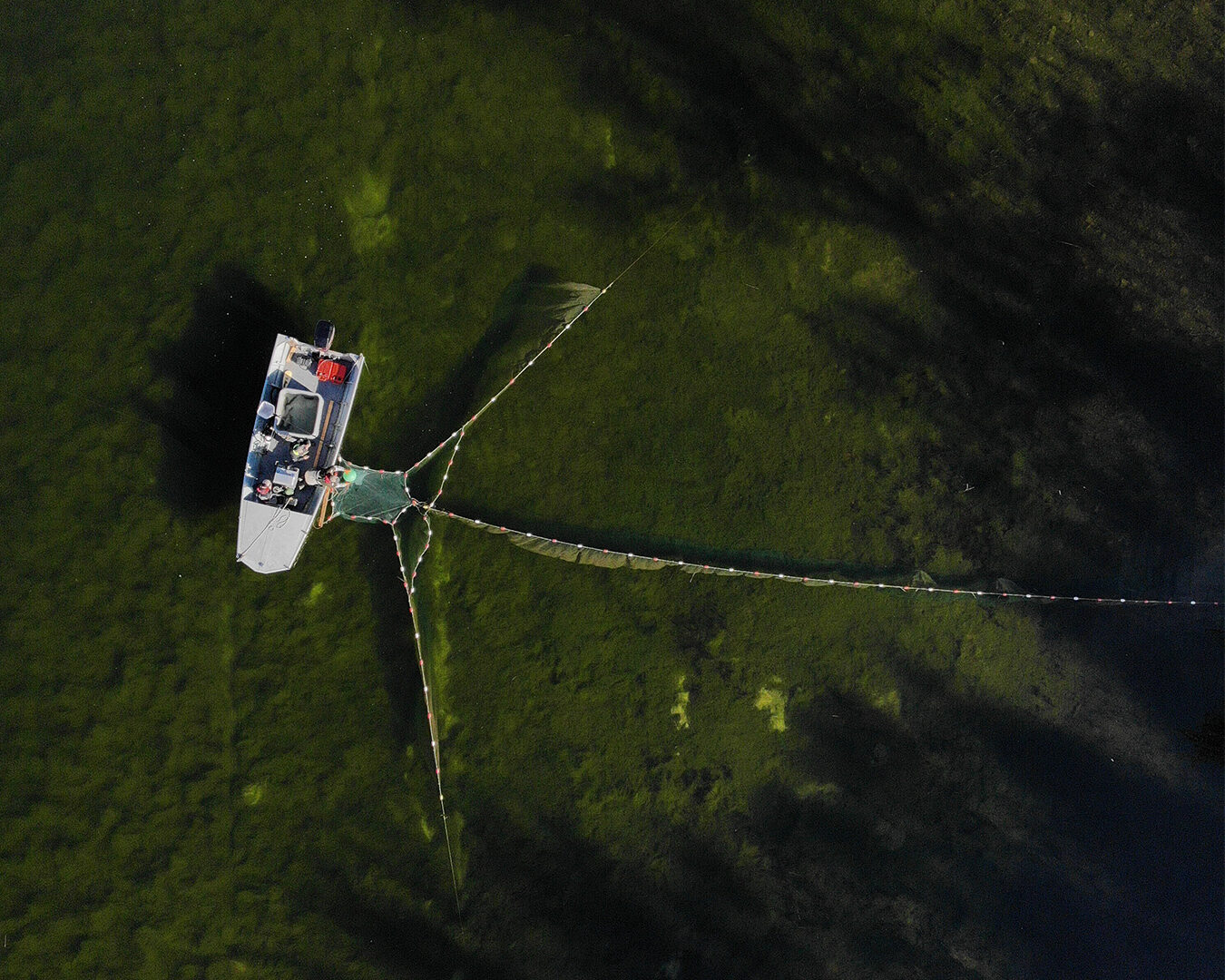 Broodstock Lakes: British Columbia’s Unique Small Lakes Stocking Model